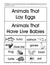Animals that Lay Eggs and Animals that Have Babies Classification Activity Grades 2-3