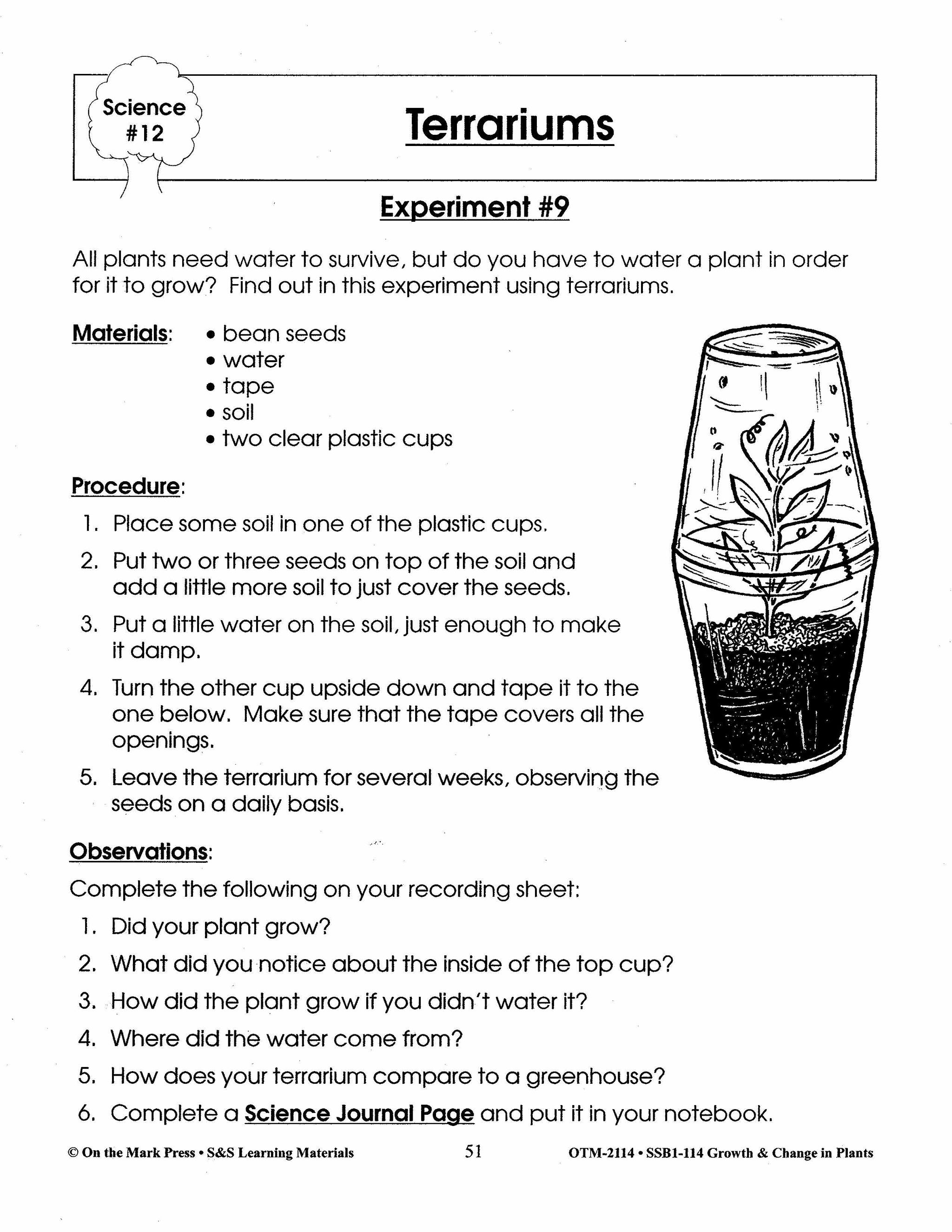 Terrariums Experiment Grades 2-3