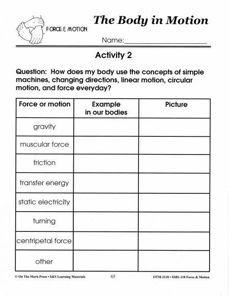 The Body in Motion Research Activity Grades 1-3