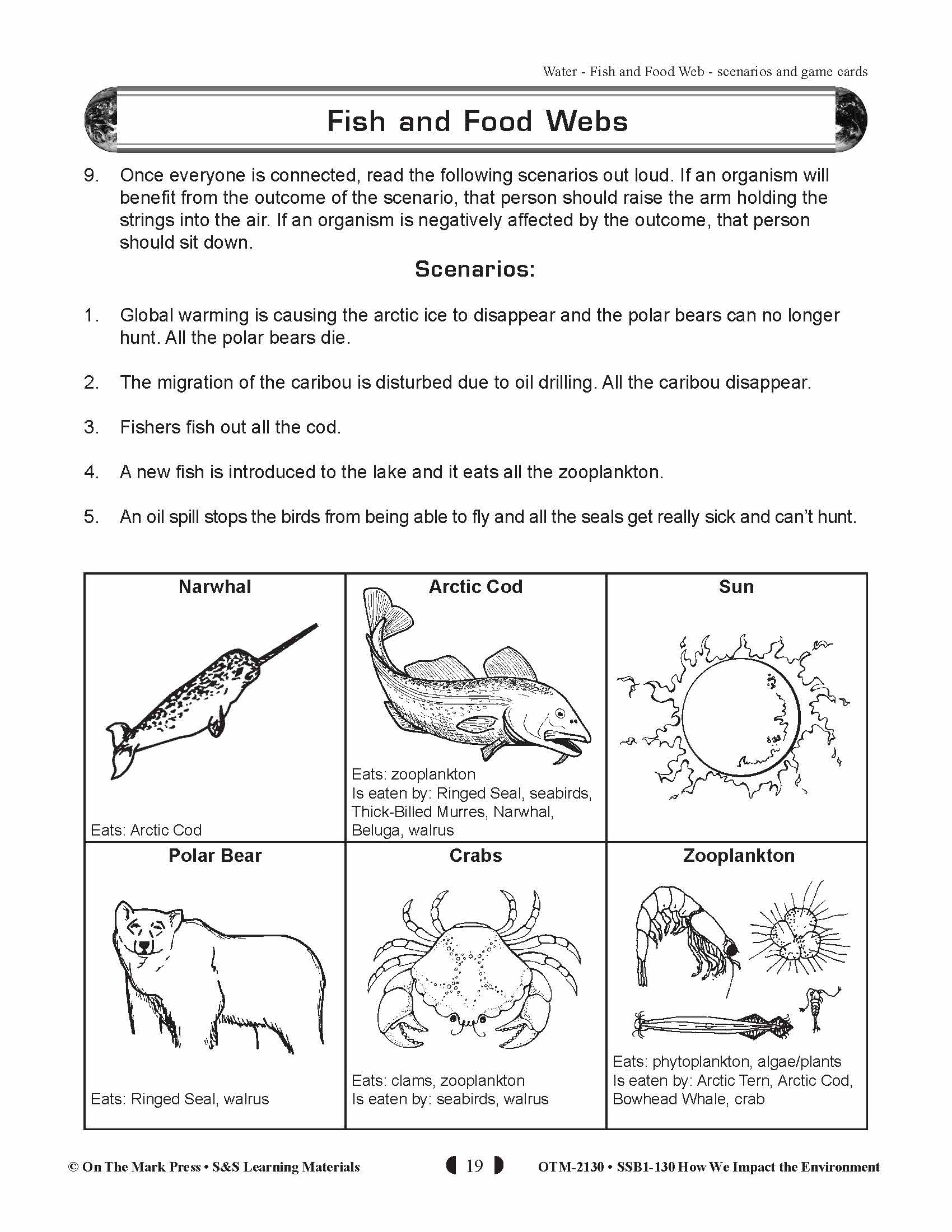 Fish and Food Webs Lesson Plan (food chains) Grades 5-8