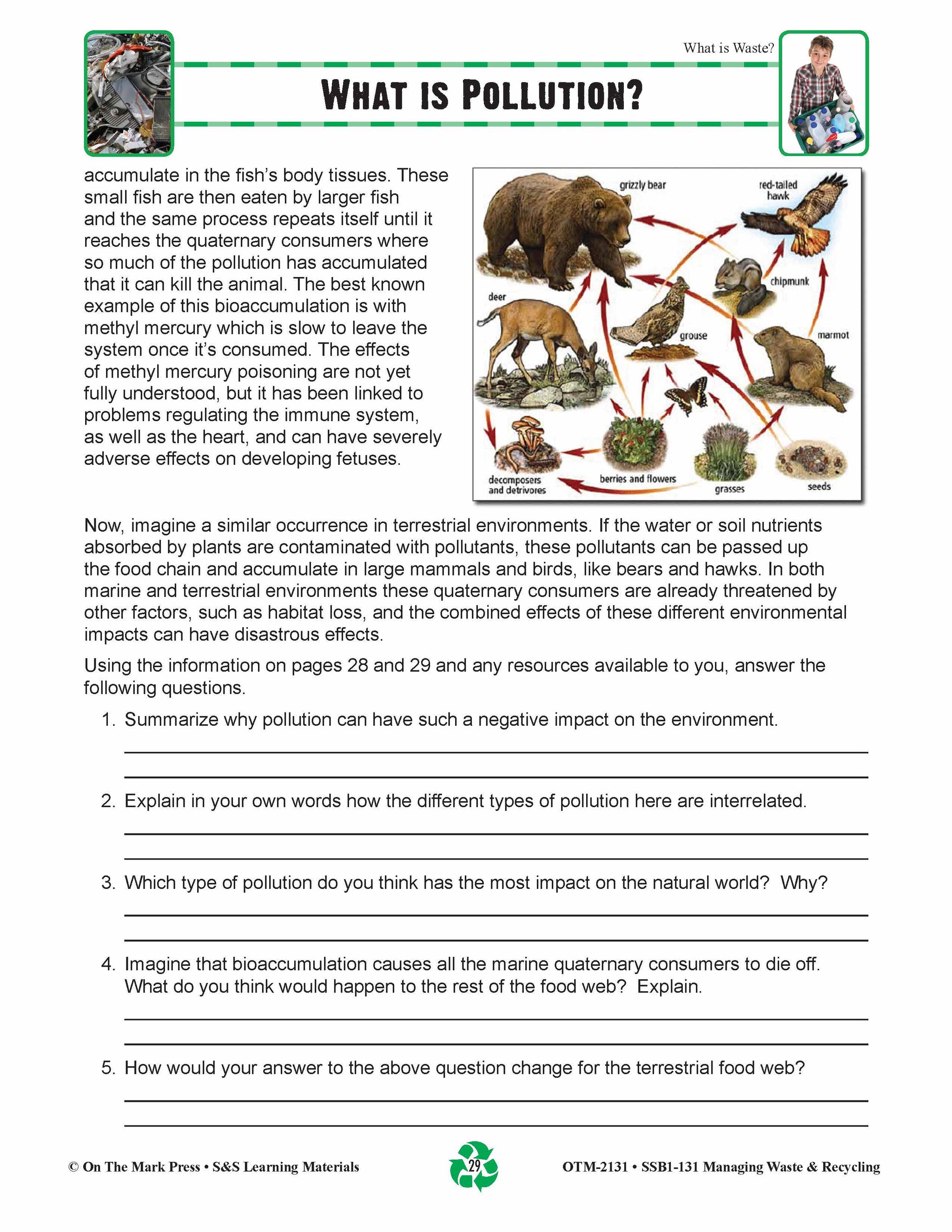 What is Pollution? Lesson Gr. 5-8