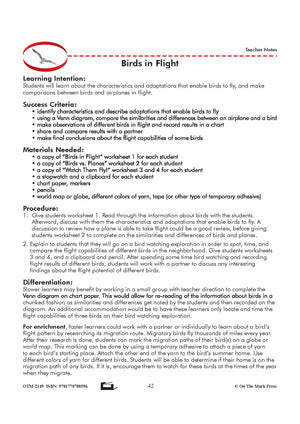 Birds in Flight Grade 6 Lesson with Experiments