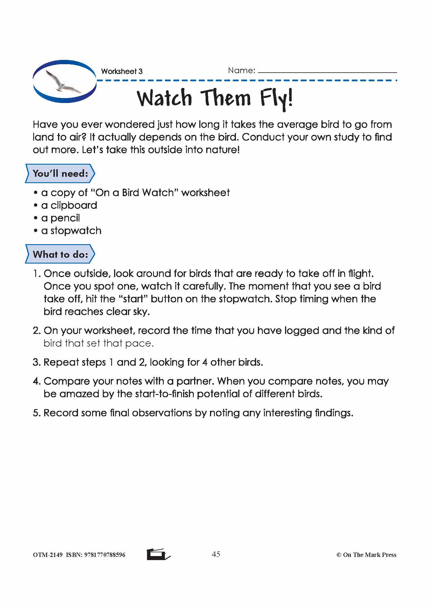 Birds in Flight Grade 6 Lesson with Experiments