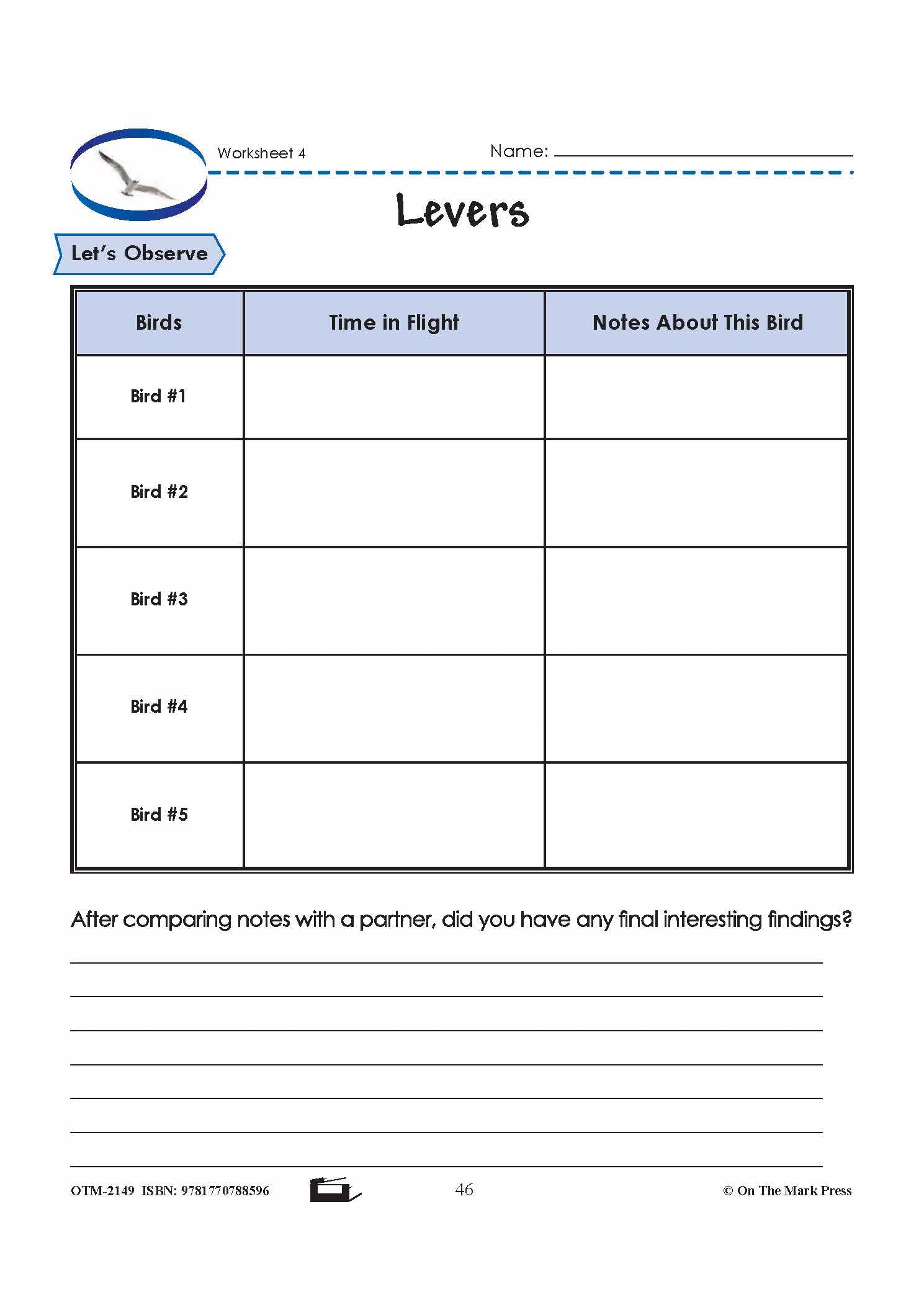 Birds in Flight Grade 6 Lesson with Experiments