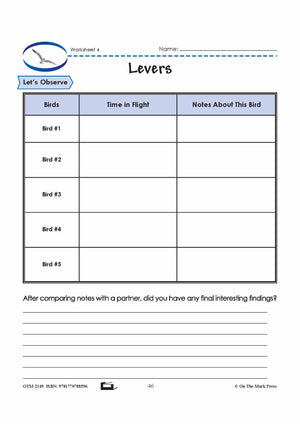 Birds in Flight Grade 6 Lesson with Experiments