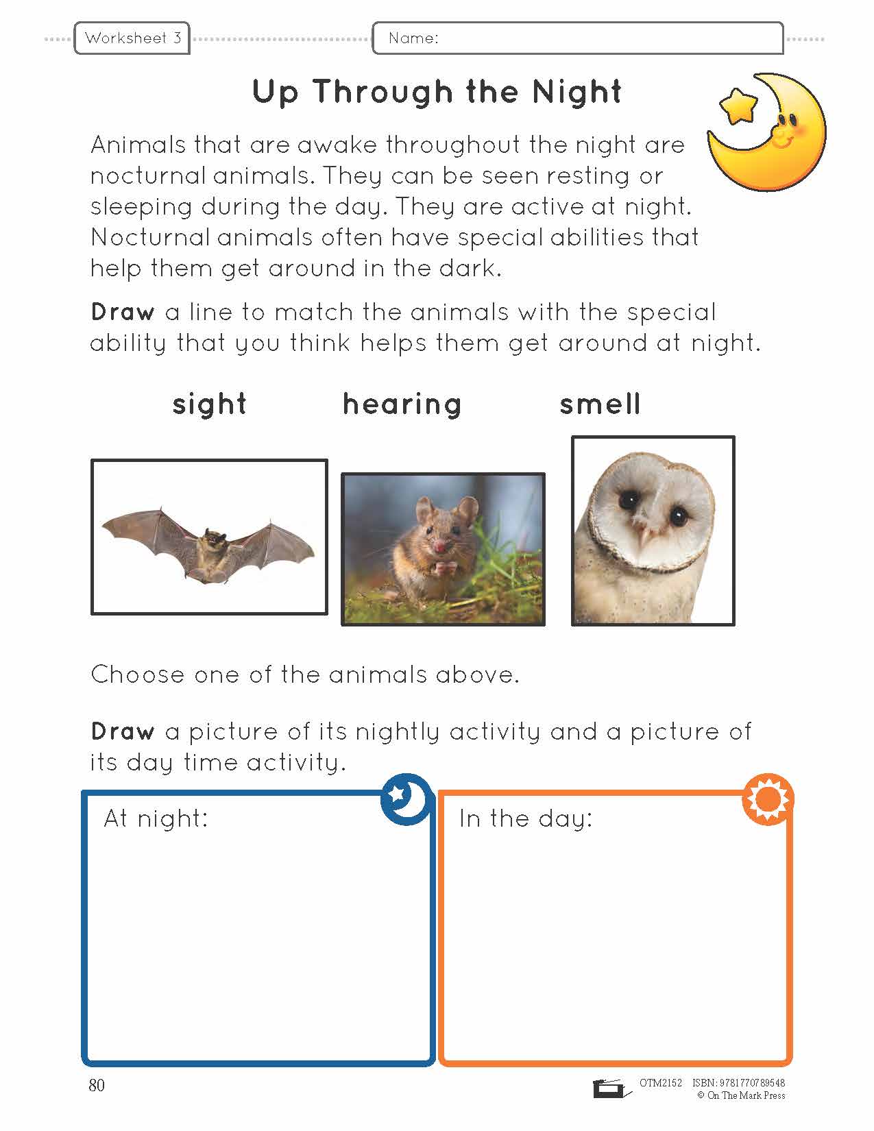 Animals - Day and Night Lesson Plan and Student Worksheets Grade 1