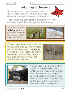 Animal Adaptations Lesson Plan Grade 1
