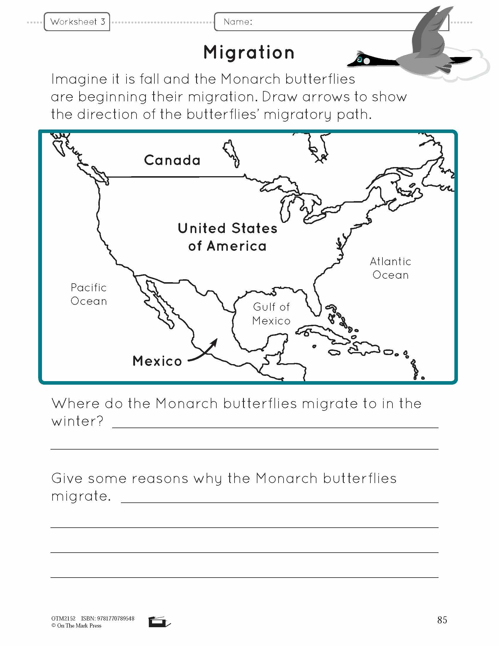 Animal Adaptations Lesson Plan Grade 1