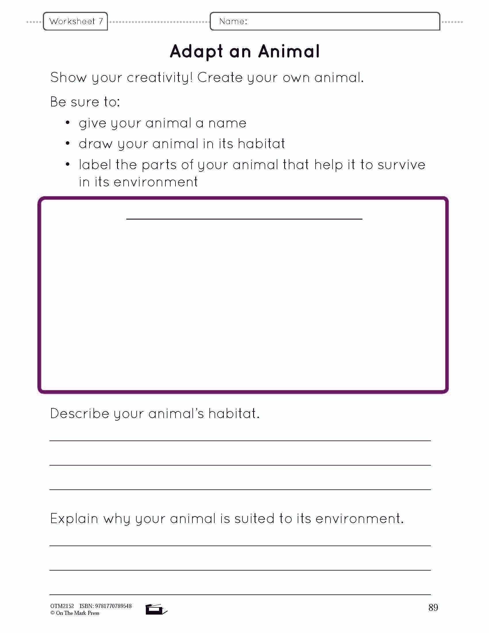 Animal Adaptations Lesson Plan Grade 1