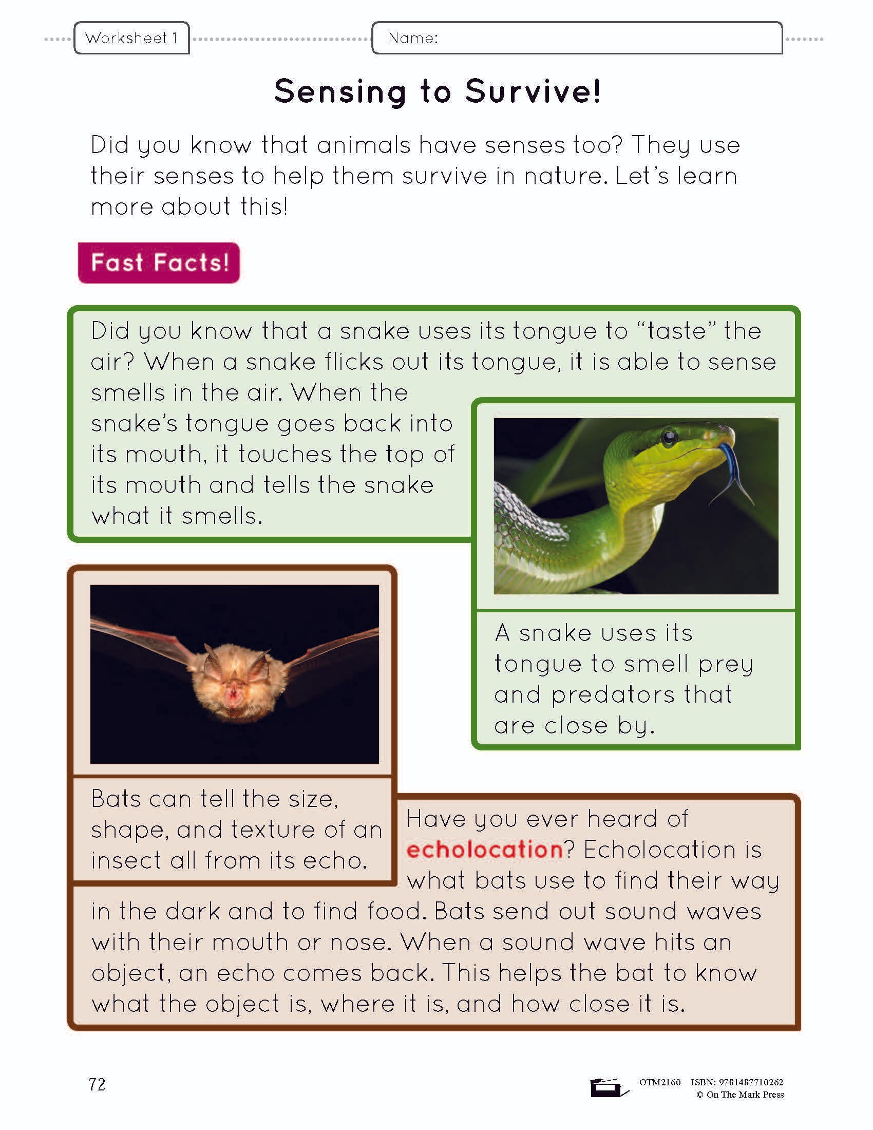 Animal Senses Lesson Plan and Student Worksheets Grade 1