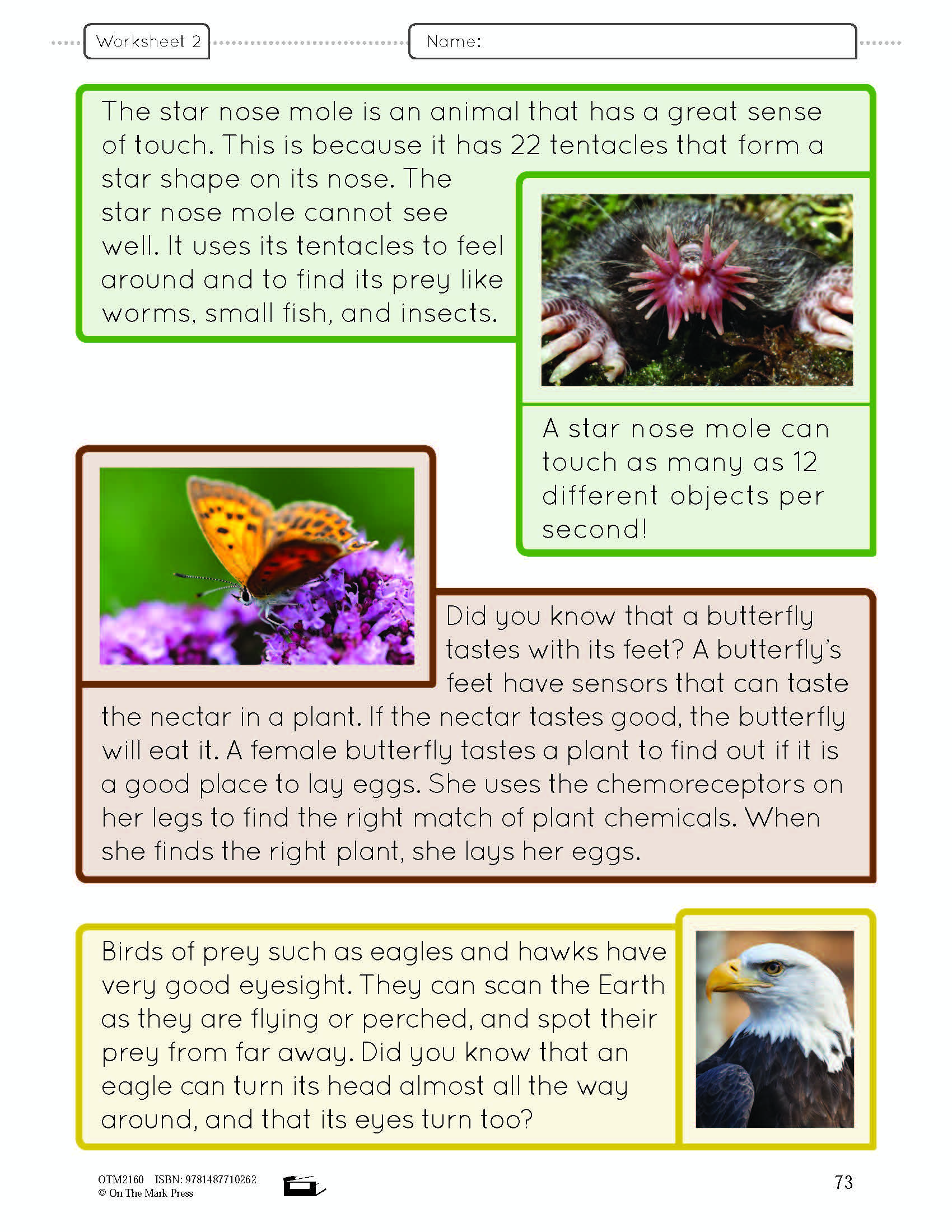 Animal Senses Lesson Plan and Student Worksheets Grade 1