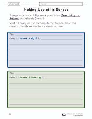 Animal Senses Lesson Plan and Student Worksheets Grade 1