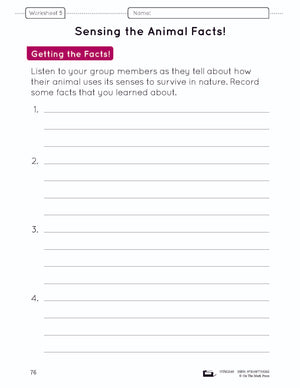 Animal Senses Lesson Plan and Student Worksheets Grade 1