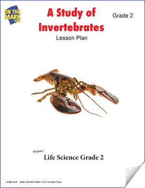 A Study of Invertebrates Lesson Plan and Worksheets Grade 2