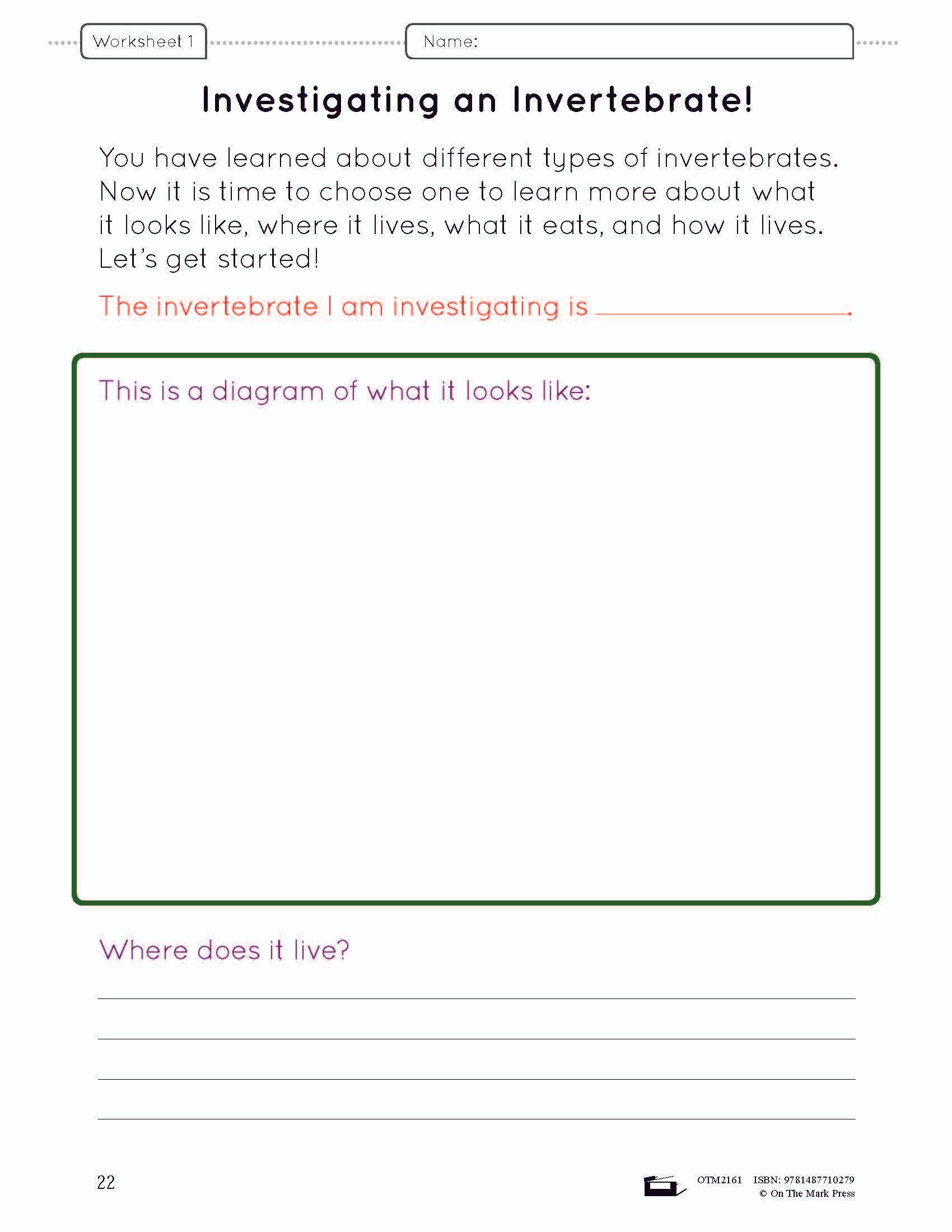 A Study of Invertebrates Lesson Plan and Worksheets Grade 2