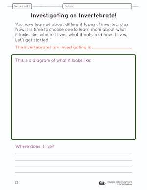 A Study of Invertebrates Lesson Plan and Worksheets Grade 2