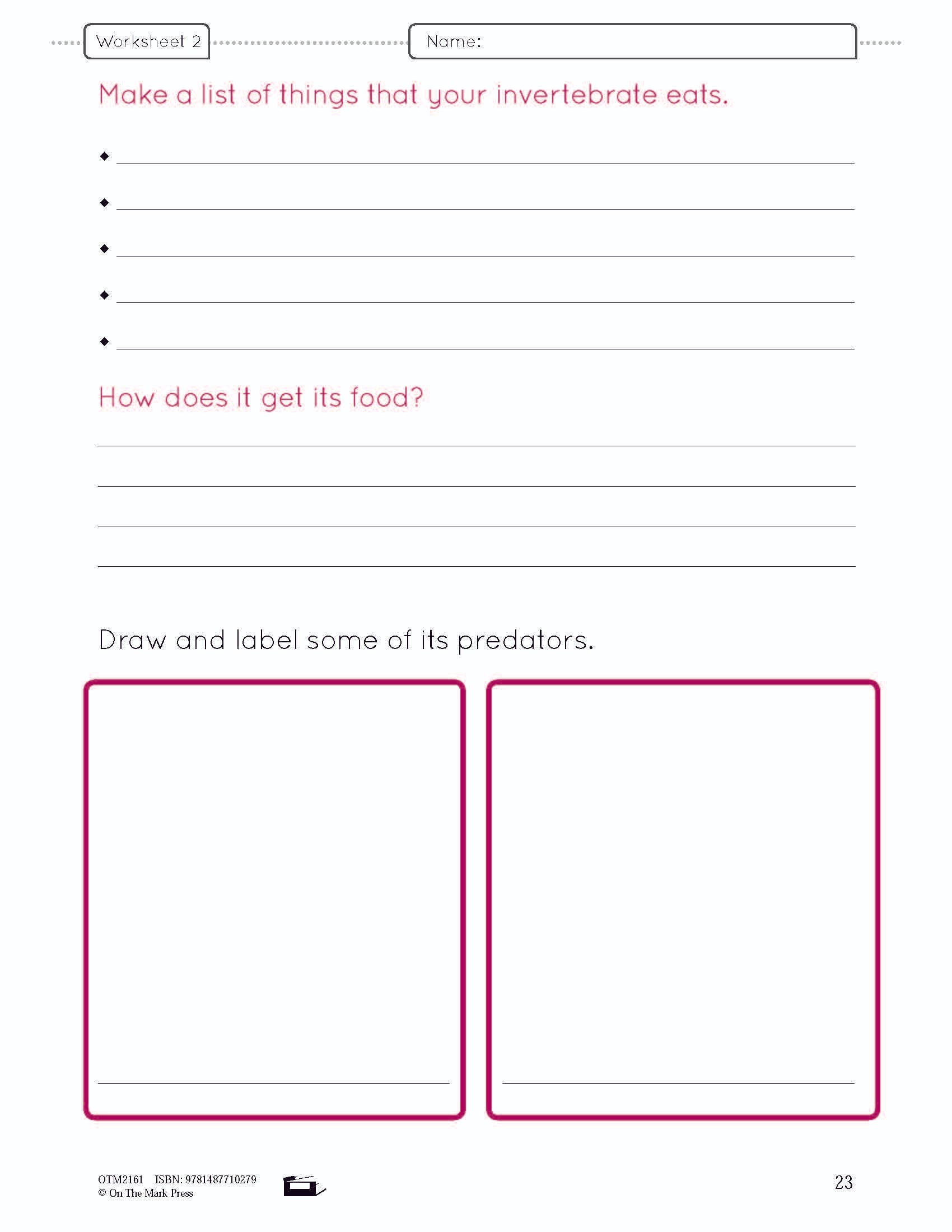 A Study of Invertebrates Lesson Plan and Worksheets Grade 2