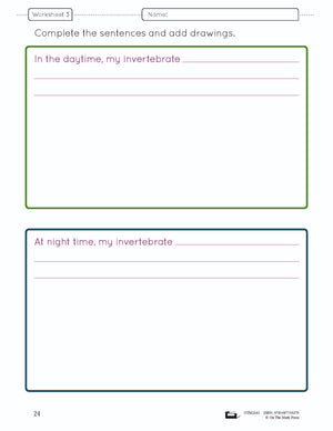 A Study of Invertebrates Lesson Plan and Worksheets Grade 2