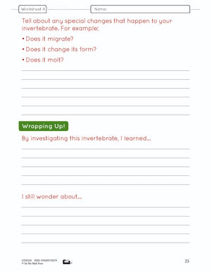 A Study of Invertebrates Lesson Plan and Worksheets Grade 2