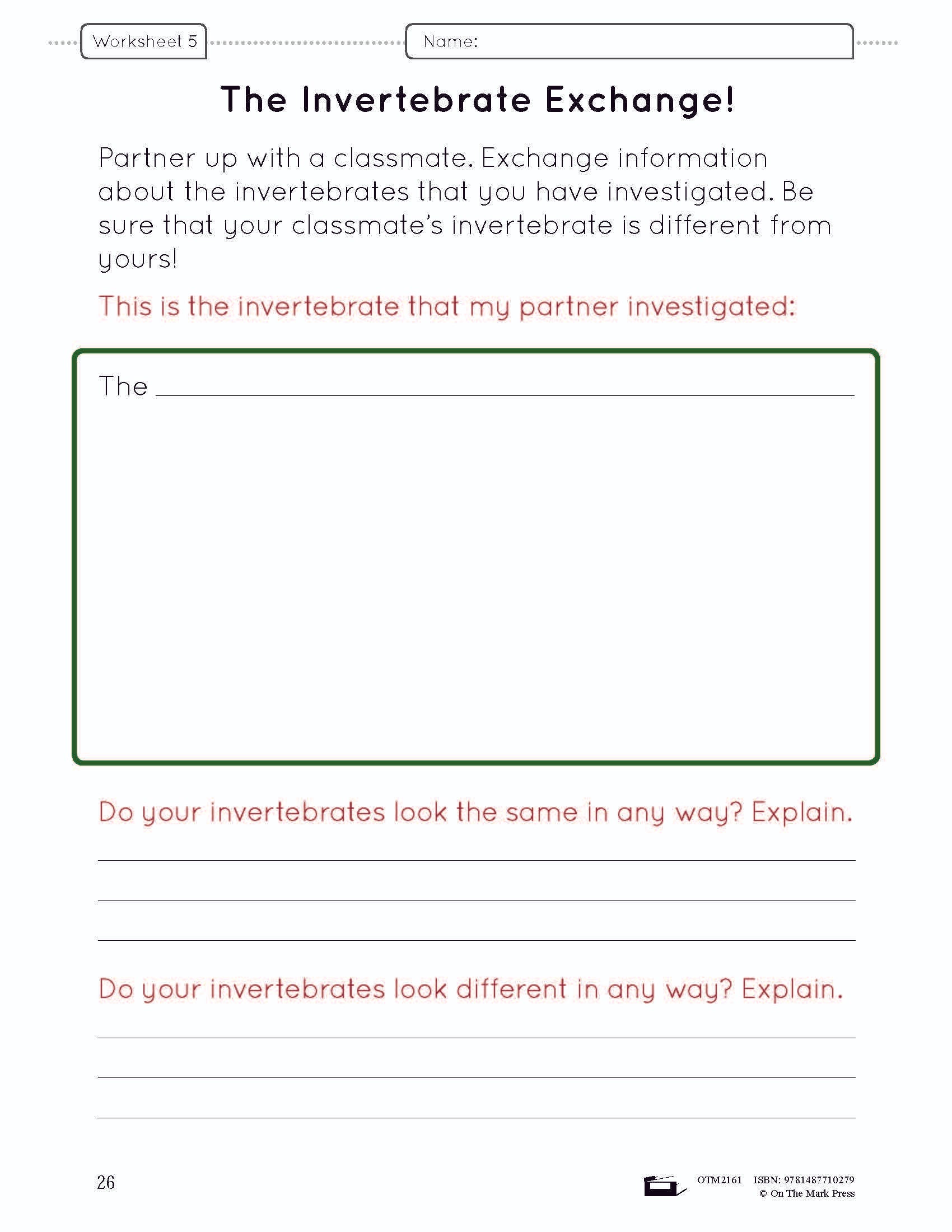 A Study of Invertebrates Lesson Plan and Worksheets Grade 2