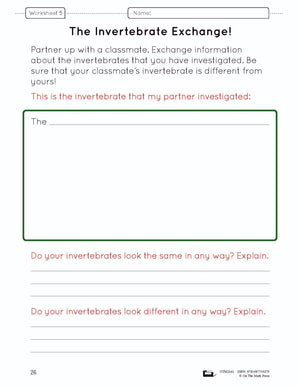 A Study of Invertebrates Lesson Plan and Worksheets Grade 2