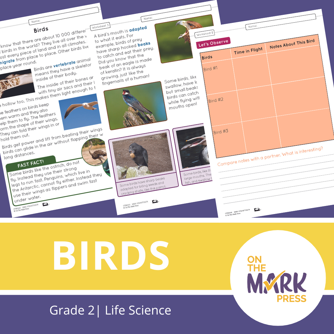 Birds Lesson and Worksheets Gr 2 - Physical Characteristics; Flight; Behavior