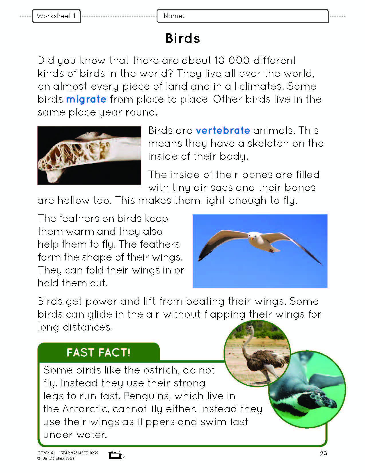 Birds Lesson and Worksheets Gr 2 - Physical Characteristics; Flight; Behavior