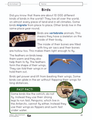 Birds Lesson and Worksheets Gr 2 - Physical Characteristics; Flight; Behavior