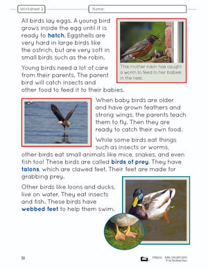 Birds Lesson and Worksheets Gr 2 - Physical Characteristics; Flight; Behavior