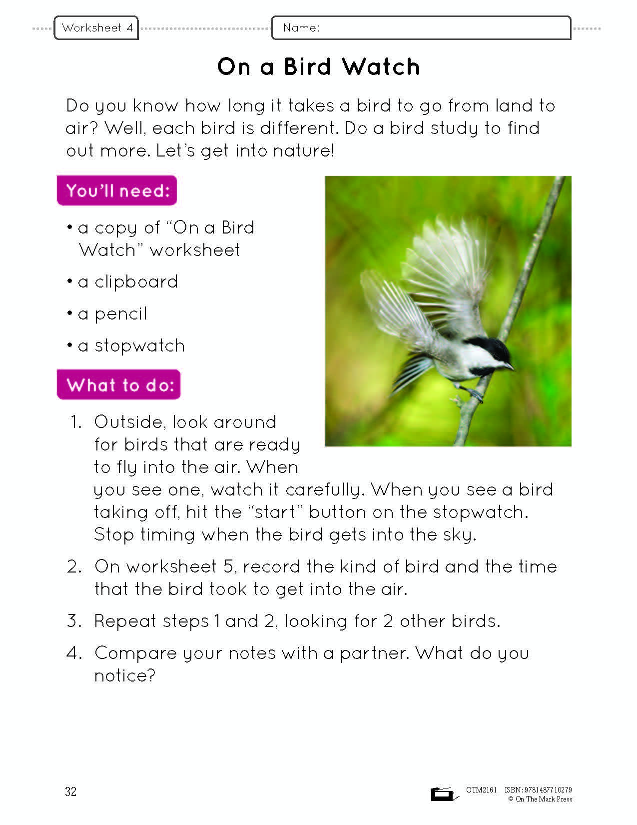 Birds Lesson and Worksheets Gr 2 - Physical Characteristics; Flight; Behavior