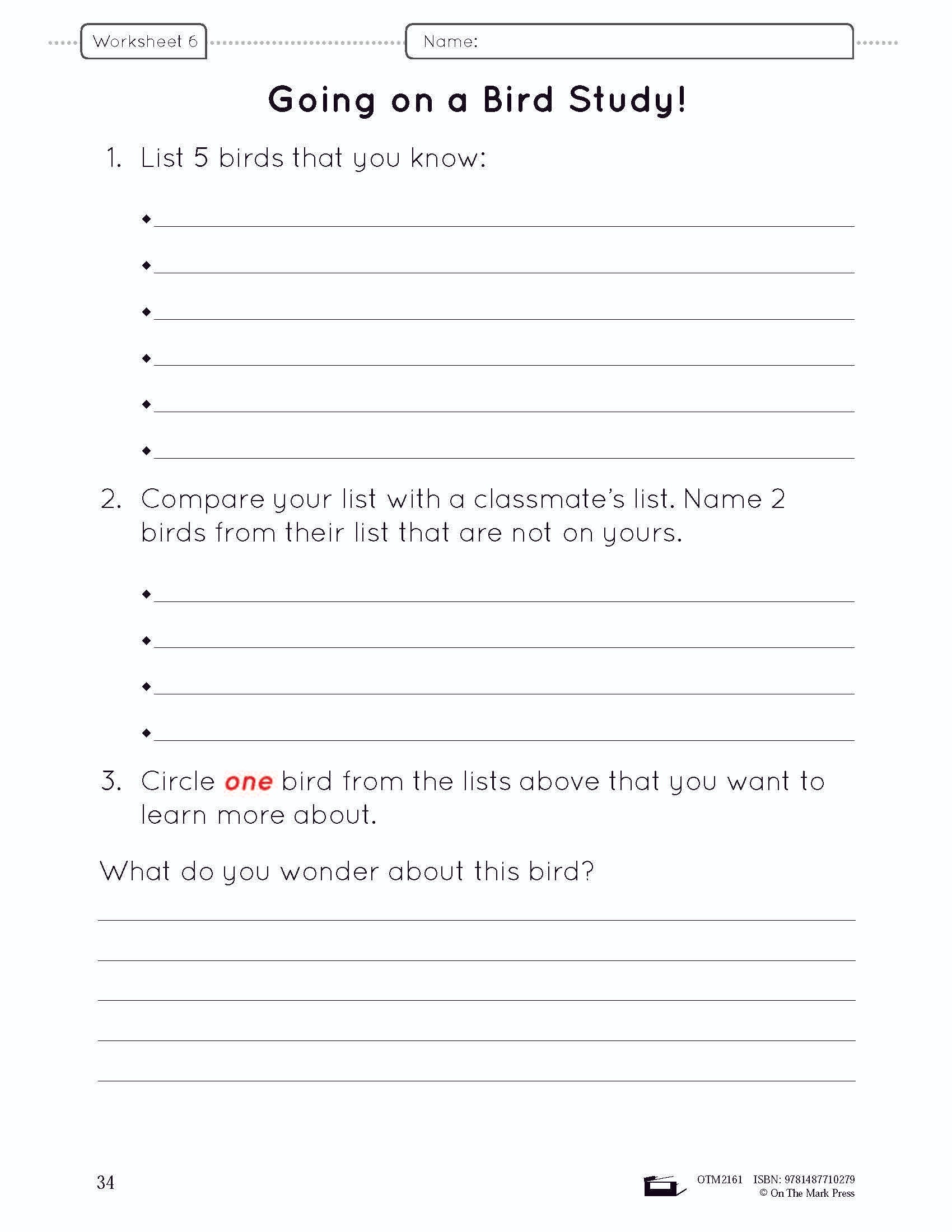 Birds Lesson and Worksheets Gr 2 - Physical Characteristics; Flight; Behavior