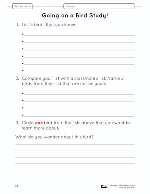 Birds Lesson and Worksheets Gr 2 - Physical Characteristics; Flight; Behavior