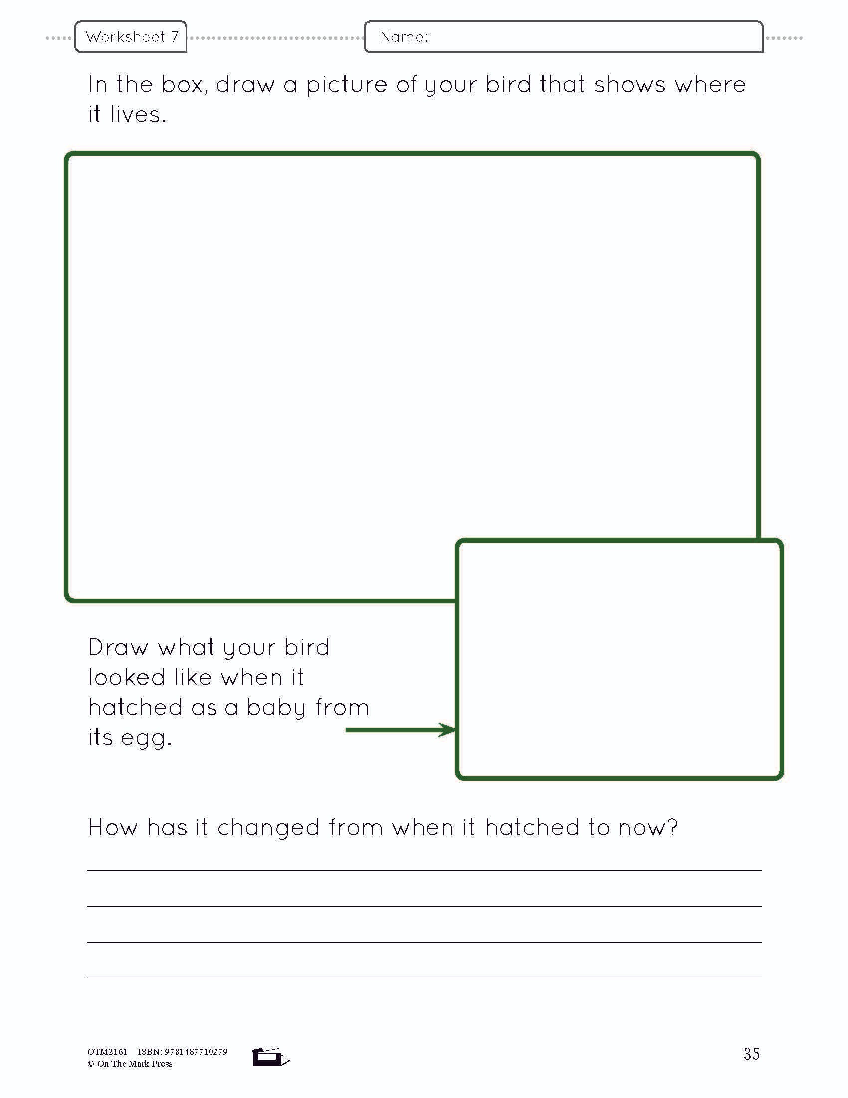 Birds Lesson and Worksheets Gr 2 - Physical Characteristics; Flight; Behavior