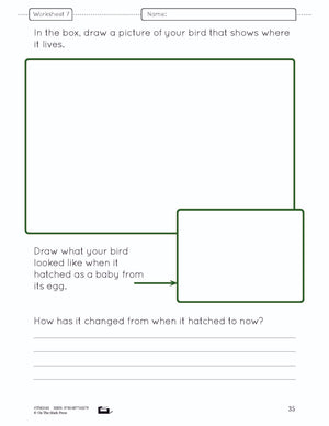 Birds Lesson and Worksheets Gr 2 - Physical Characteristics; Flight; Behavior