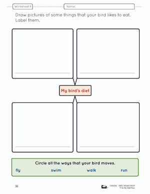 Birds Lesson and Worksheets Gr 2 - Physical Characteristics; Flight; Behavior