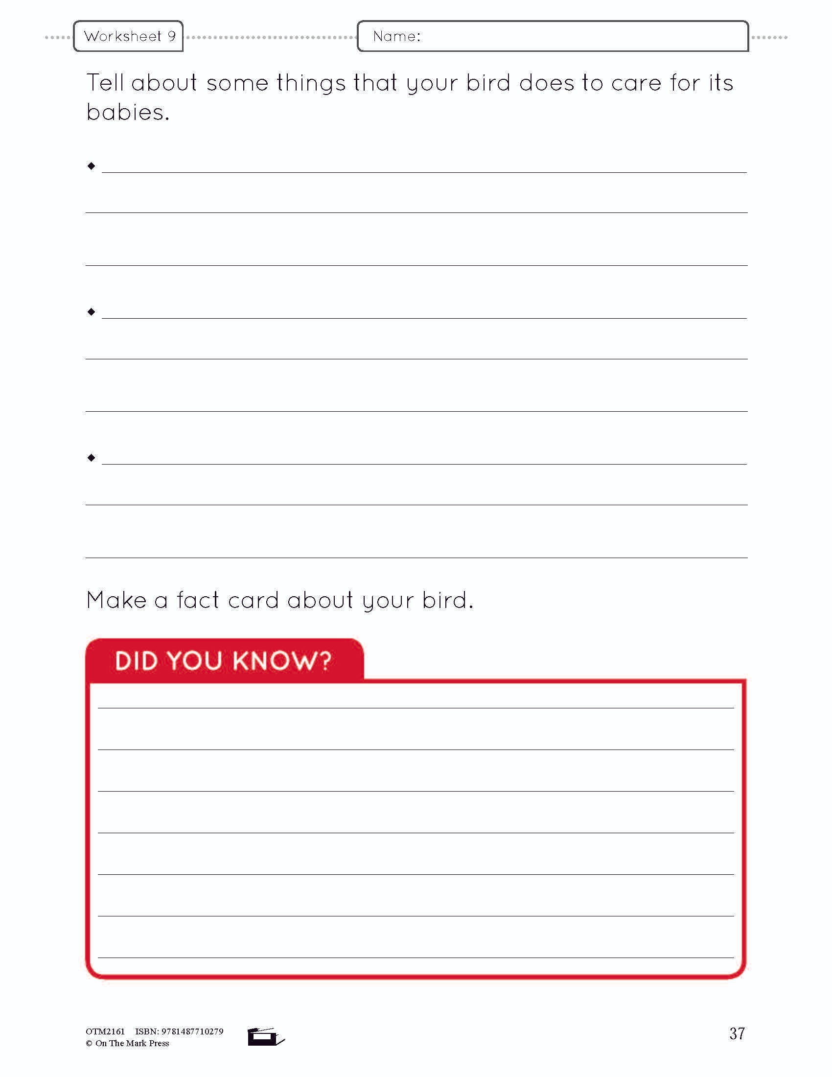 Birds Lesson and Worksheets Gr 2 - Physical Characteristics; Flight; Behavior