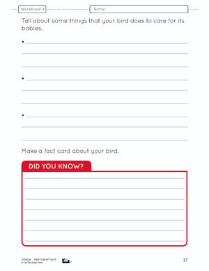 Birds Lesson and Worksheets Gr 2 - Physical Characteristics; Flight; Behavior