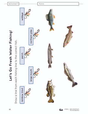 Fish Lesson and Activities Grade 2