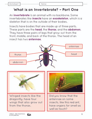 Ontario Grade 2 Science & Social Studies 5 Book Savings Bundle!