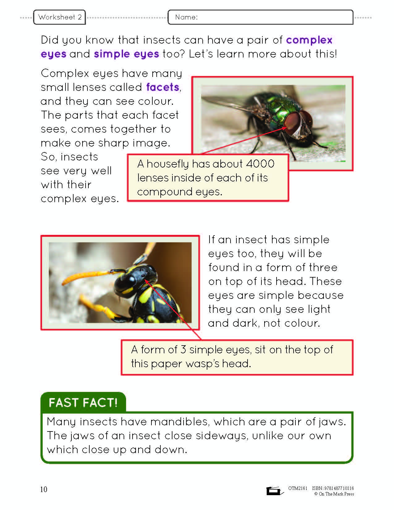 Ontario Grade 2 Science & Social Studies 5 Book Savings Bundle!