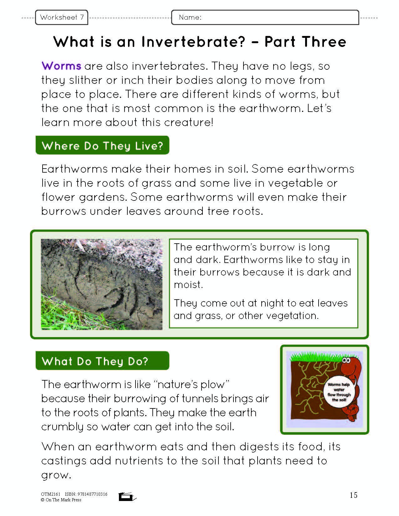 Ontario Grade 2 Science & Social Studies 5 Book Savings Bundle!