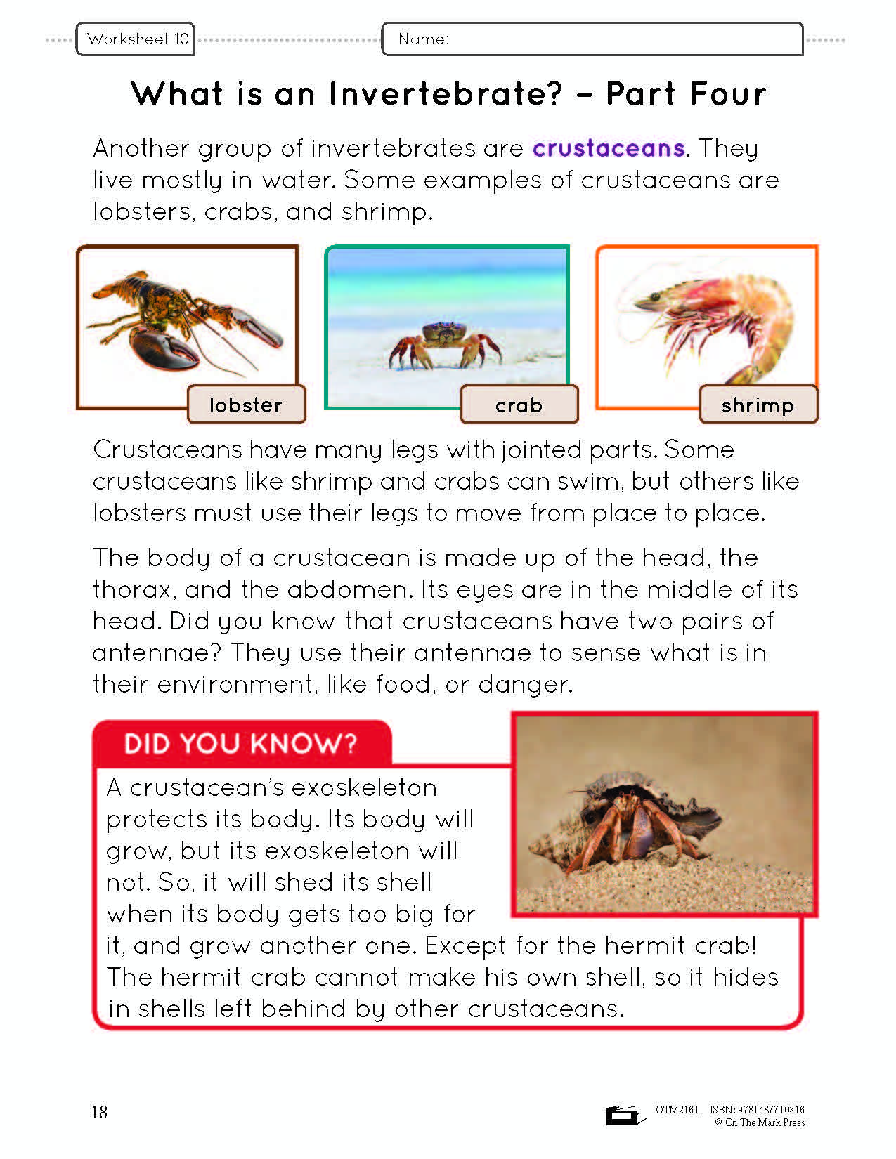 Ontario Grade 2 Science & Social Studies 5 Book Savings Bundle!