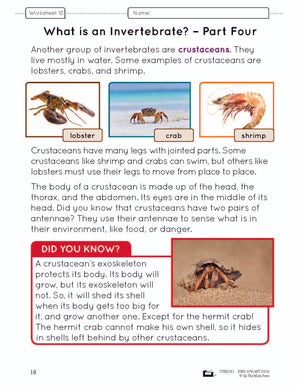Ontario Grade 2 Science & Social Studies 5 Book Savings Bundle!