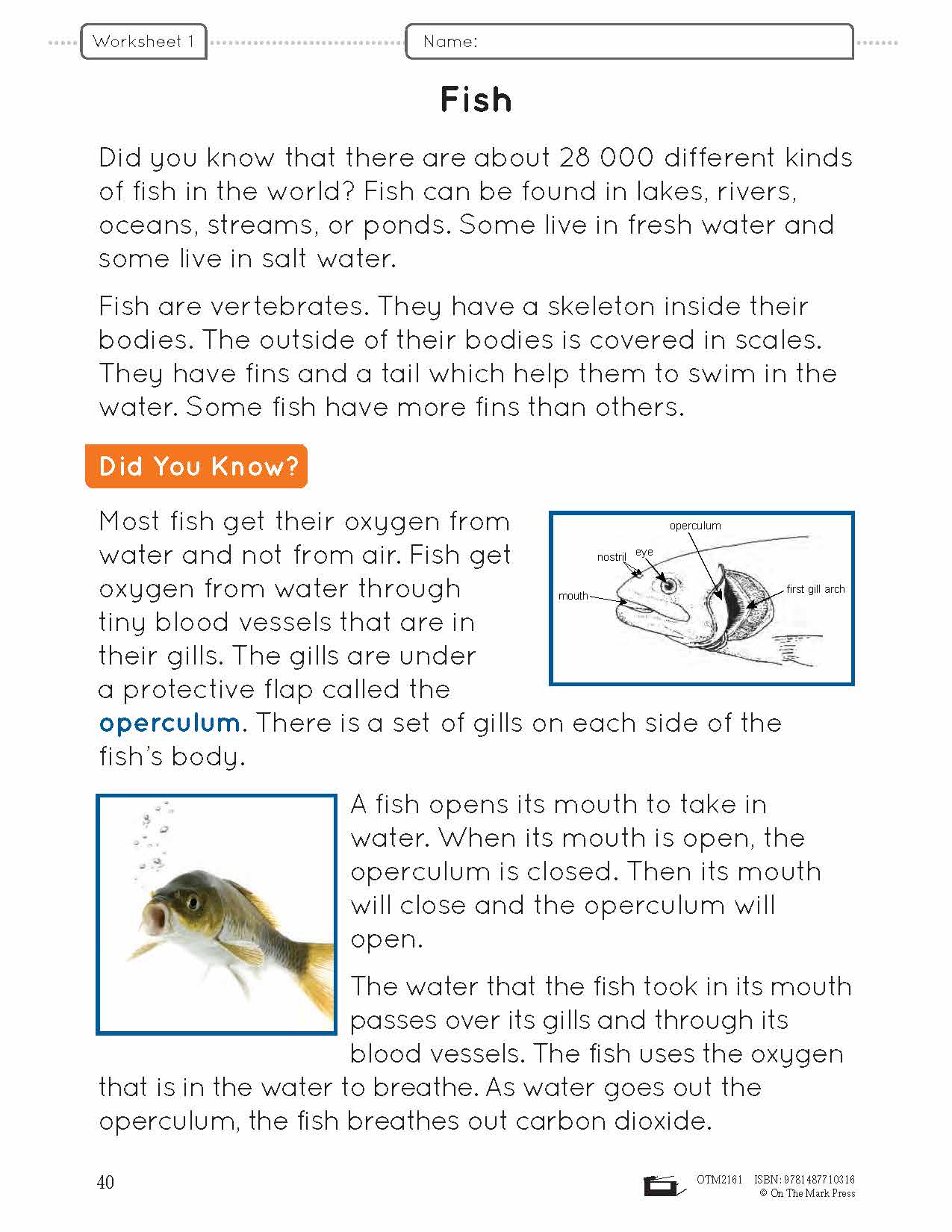 Ontario Grade 2 Science & Social Studies 5 Book Savings Bundle!