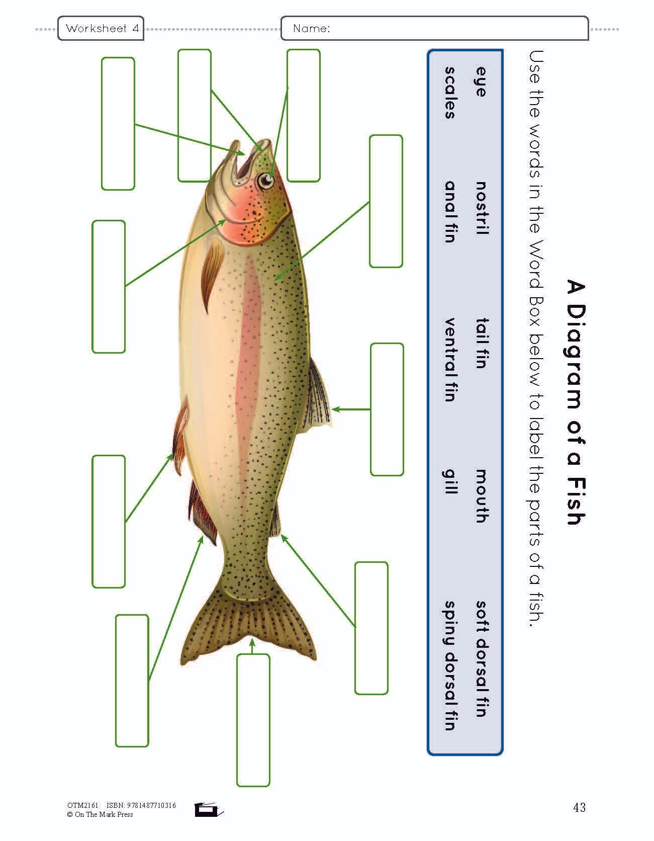 Ontario Grade 2 Science & Social Studies 5 Book Savings Bundle!