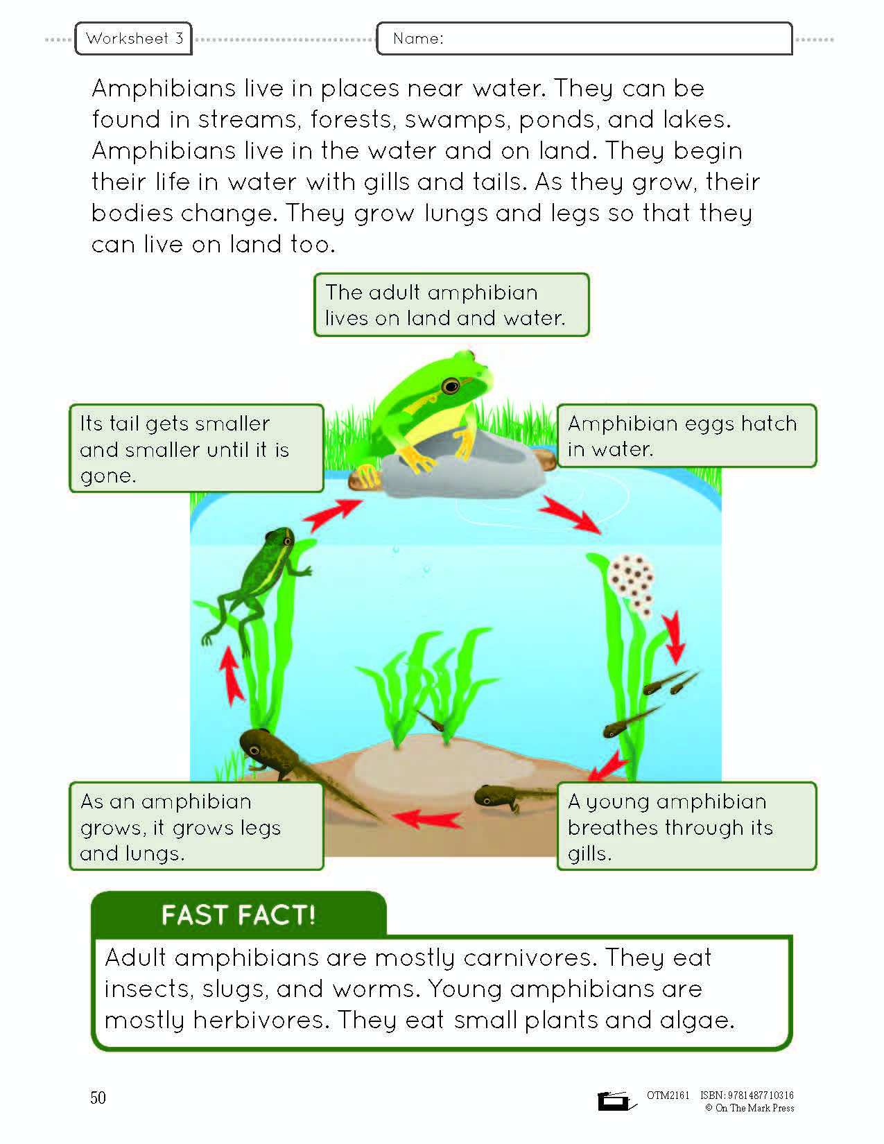 Ontario Grade 2 Science & Social Studies 5 Book Savings Bundle!