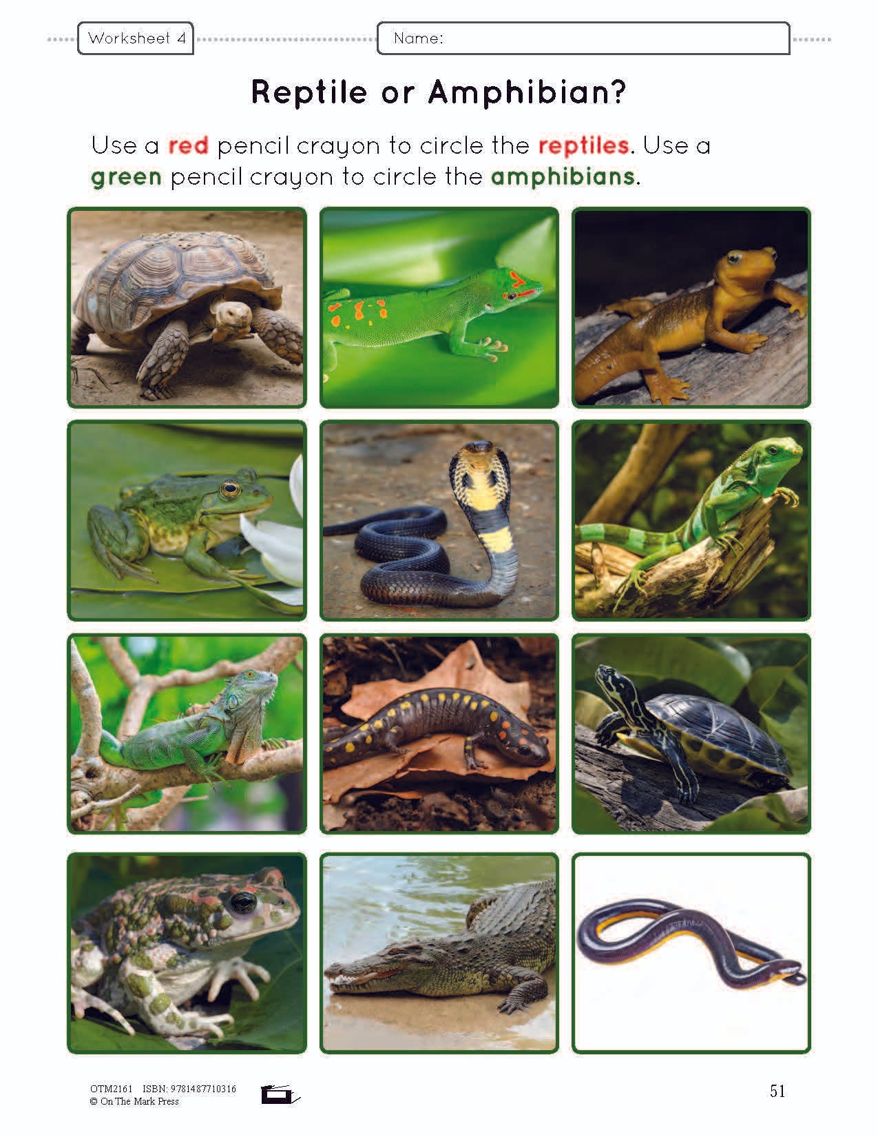 Ontario Grade 2 Science & Social Studies 5 Book Savings Bundle!