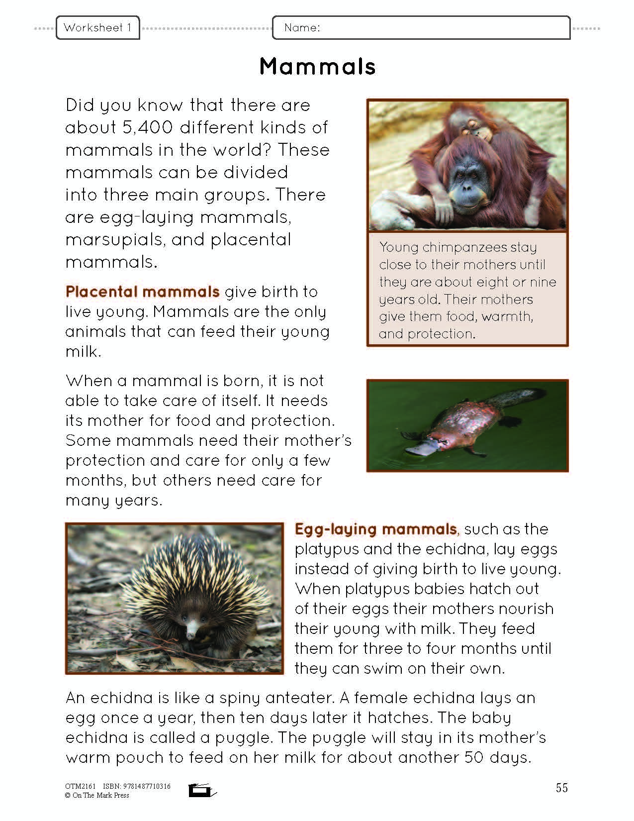 Ontario Grade 2 Science & Social Studies 5 Book Savings Bundle!