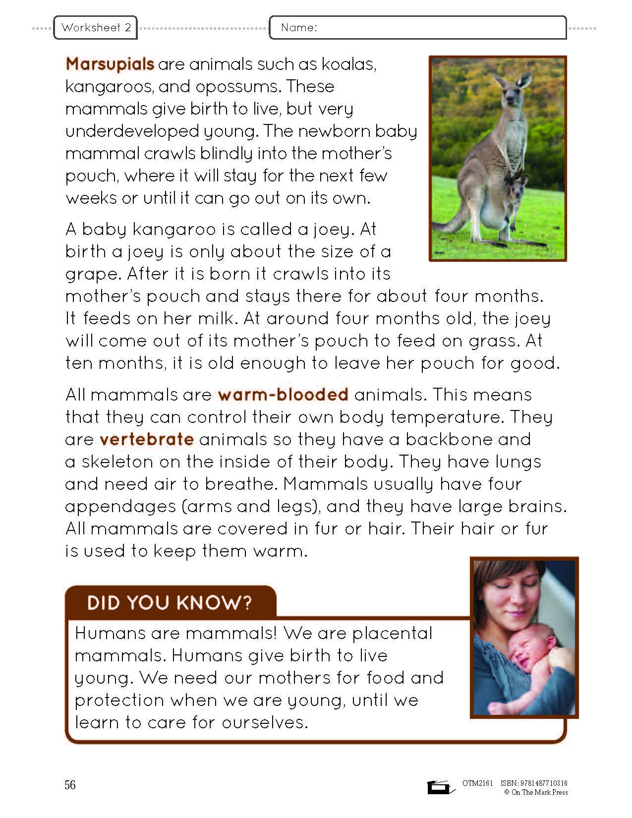 Ontario Grade 2 Science & Social Studies 5 Book Savings Bundle!