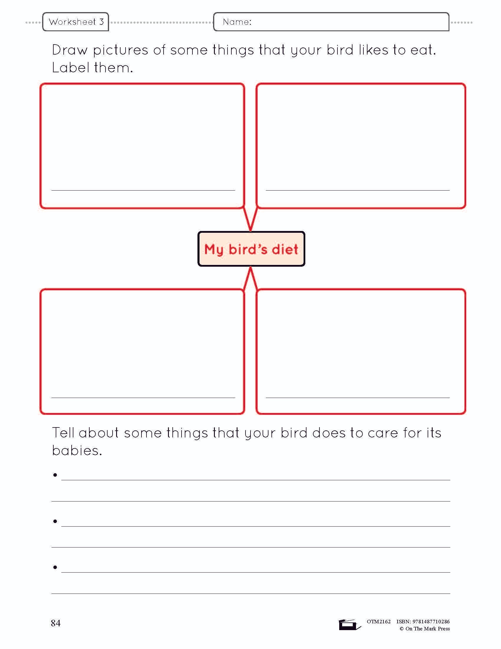 Birds Lesson Plan and Activities Grade 3